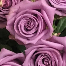 Exquisite Roses + Ruscus [Newsletter Exclusive]
